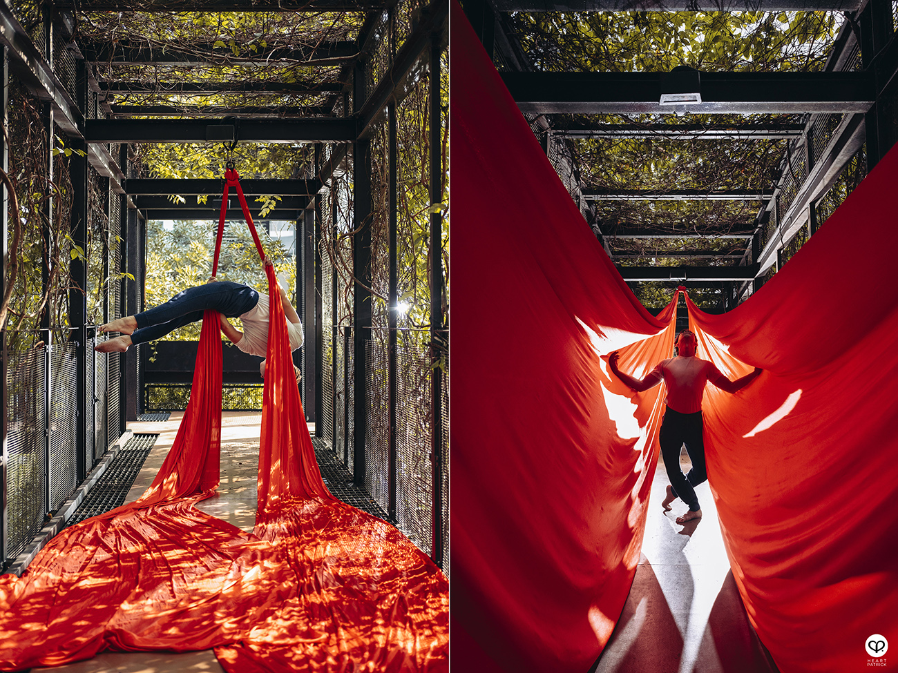 heartpatrick portraits centrio aerial dancer noah yap