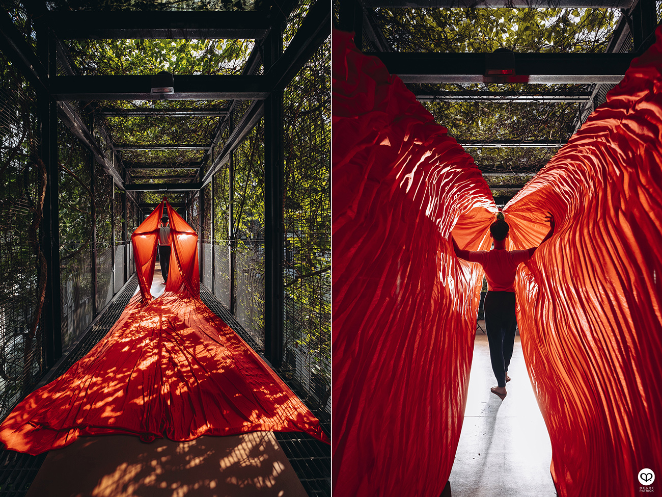 heartpatrick portraits centrio aerial dancer noah yap