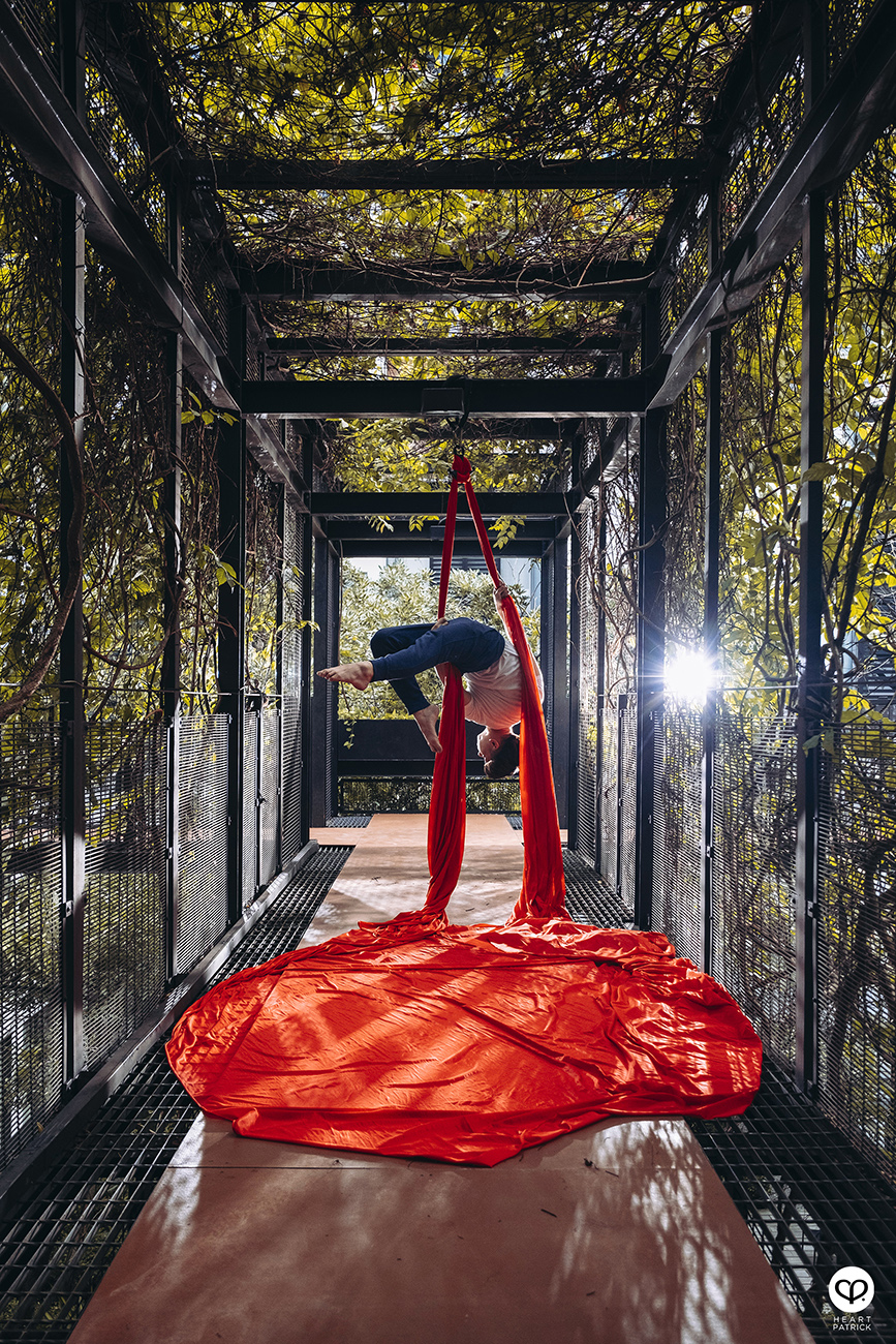 heartpatrick portraits centrio aerial dancer noah yap