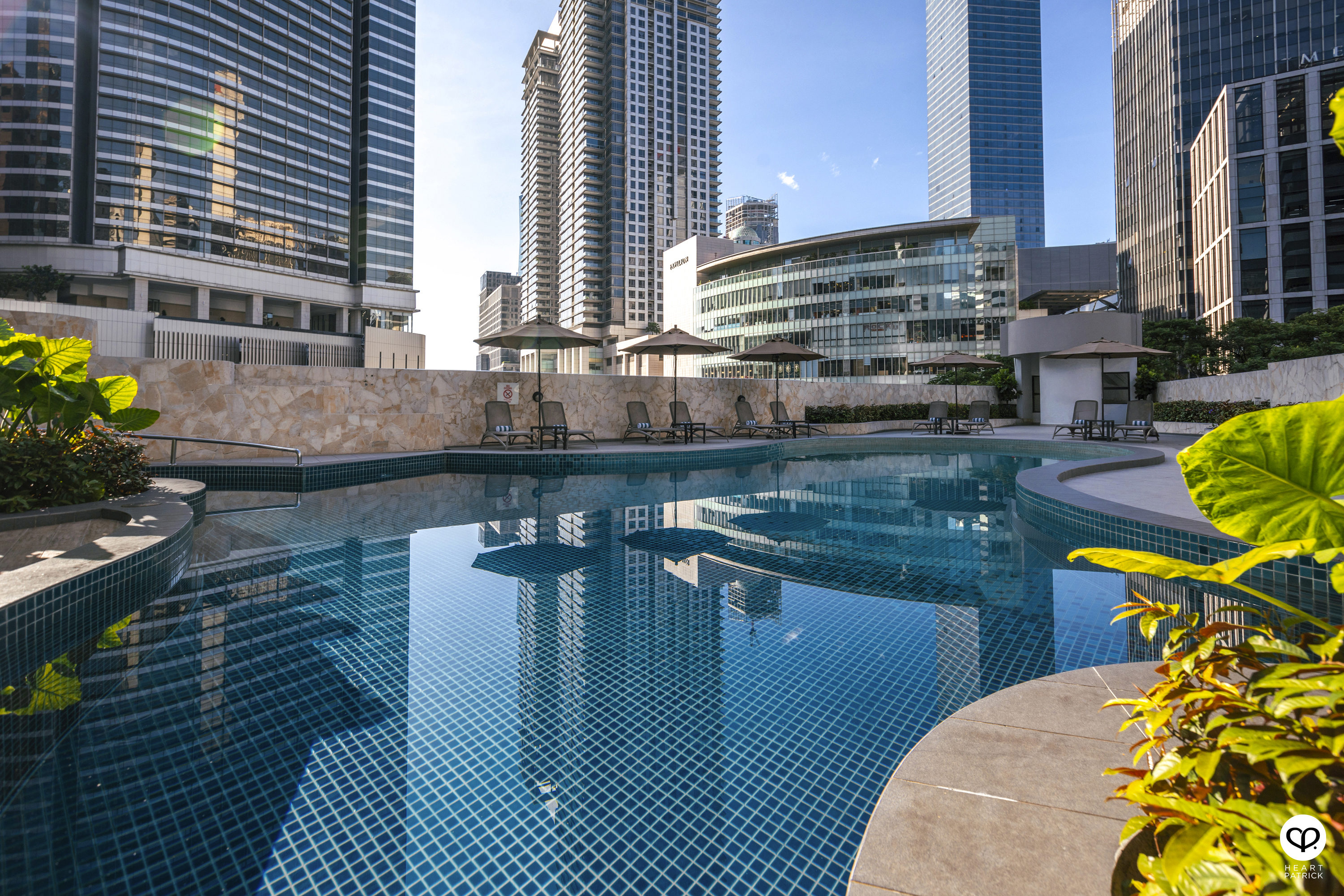 heartpatrick travel japan kanagawa sakura hanami spring flowers