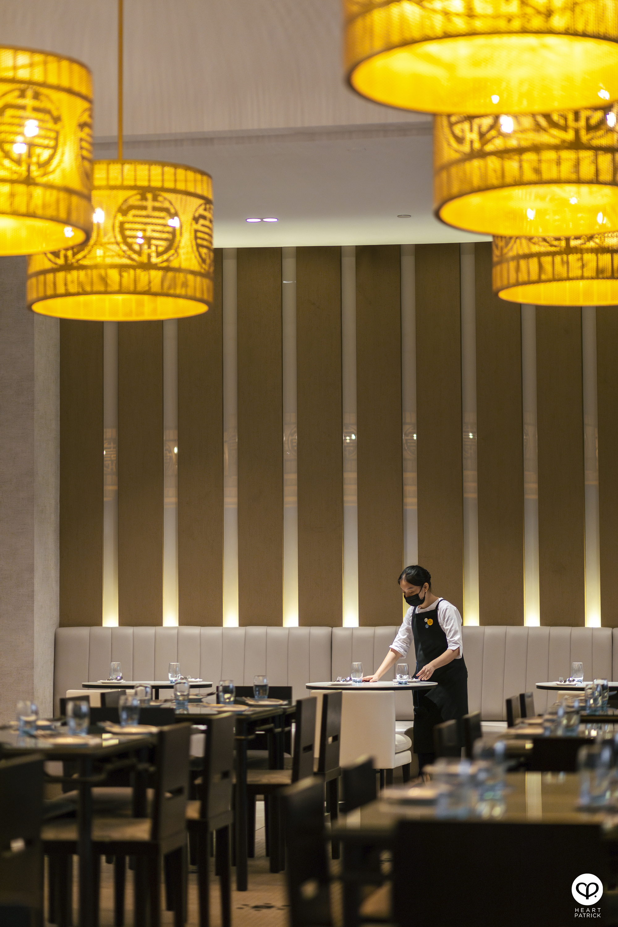 heartpatrick travel japan kanagawa sakura hanami spring flowers