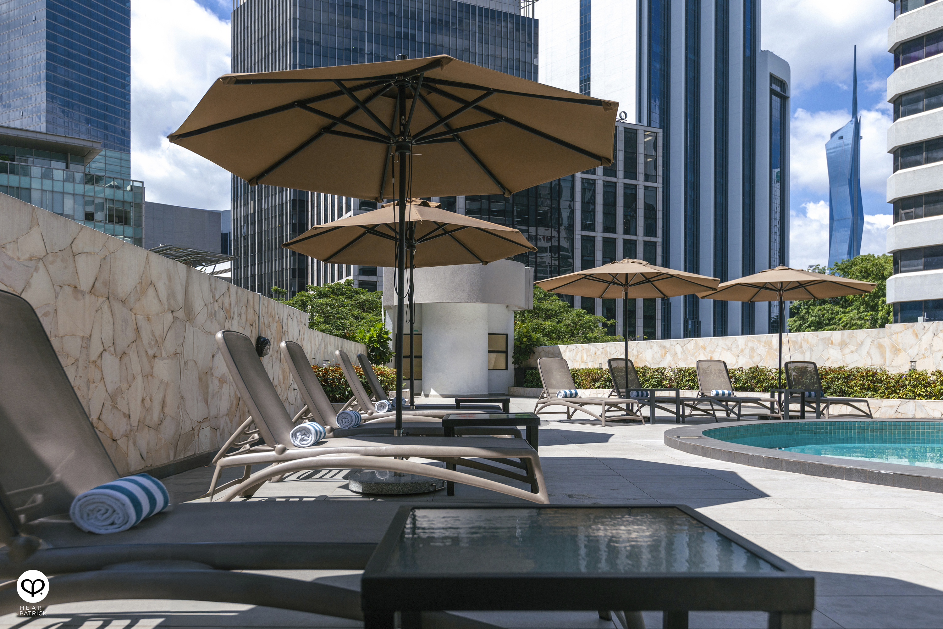 heartpatrick travel japan kanagawa sakura hanami spring flowers