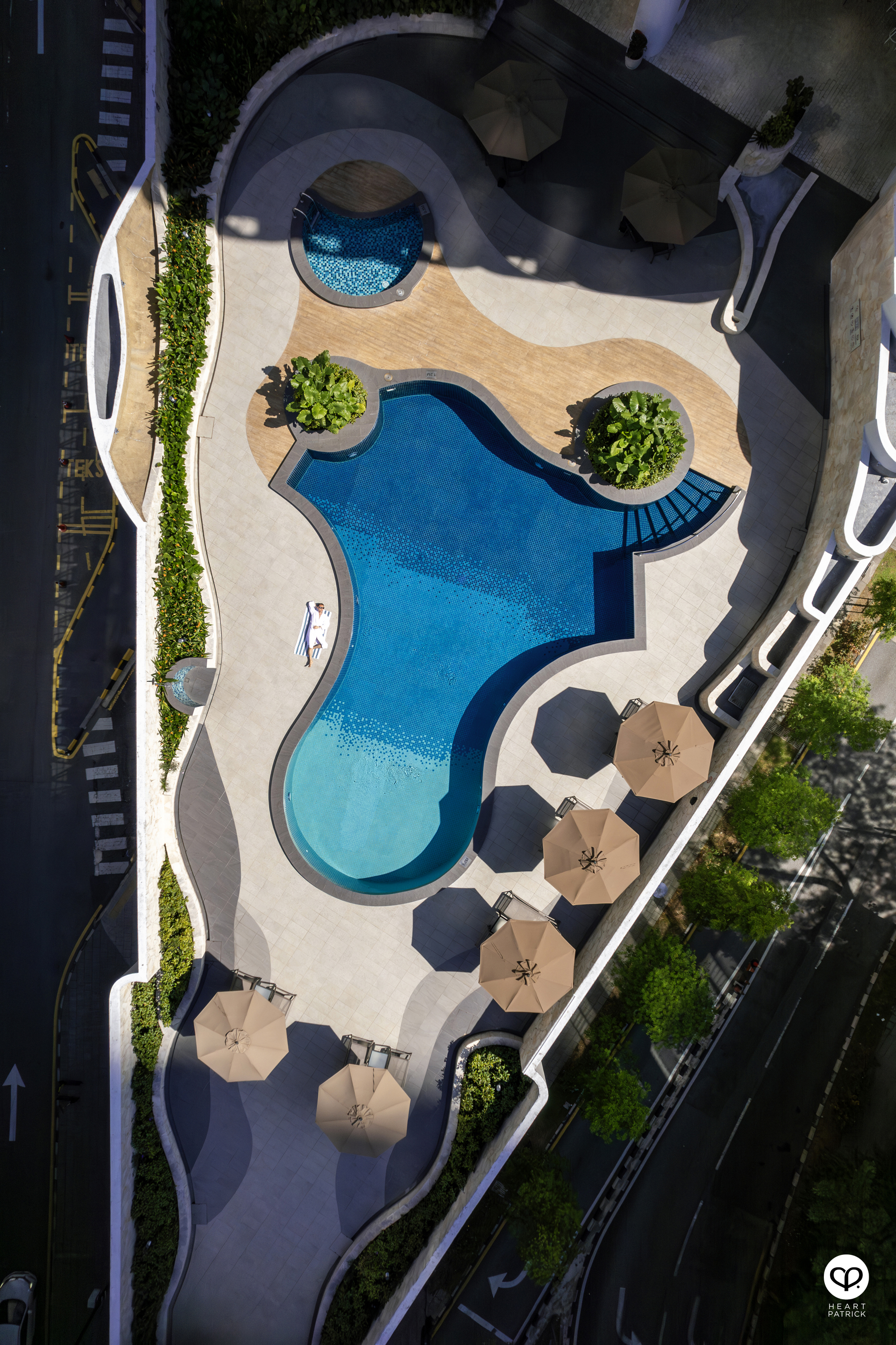 heartpatrick travel japan kanagawa sakura hanami spring flowers