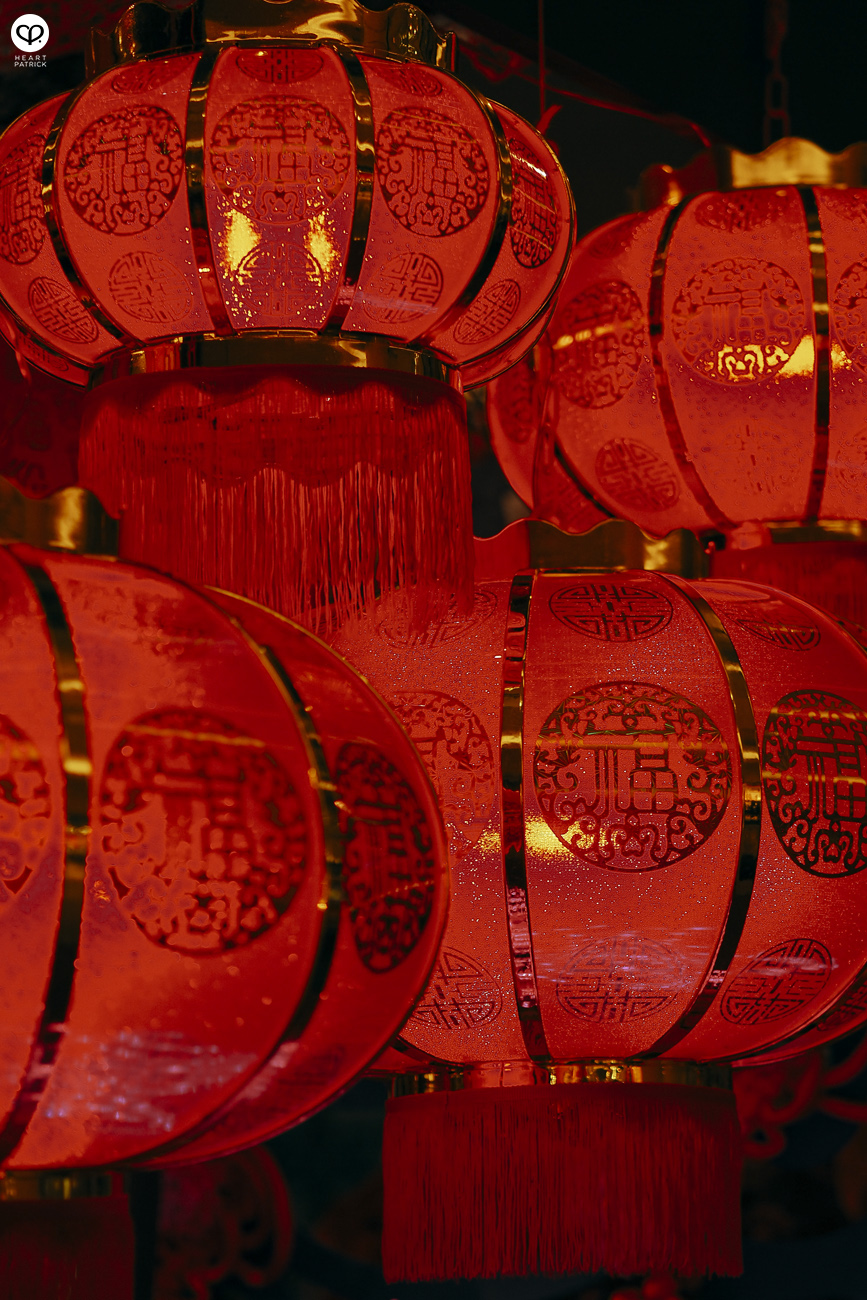 heartpatrick olympus omd mirrorleess em10