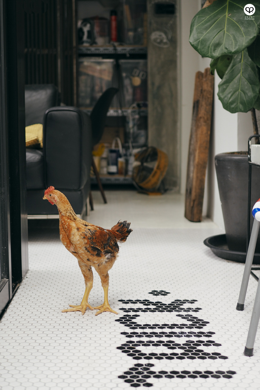 heartpatrick olympus omd mirrorleess em10