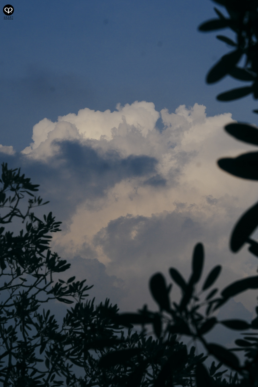 heartpatrick olympus omd mirrorleess em10