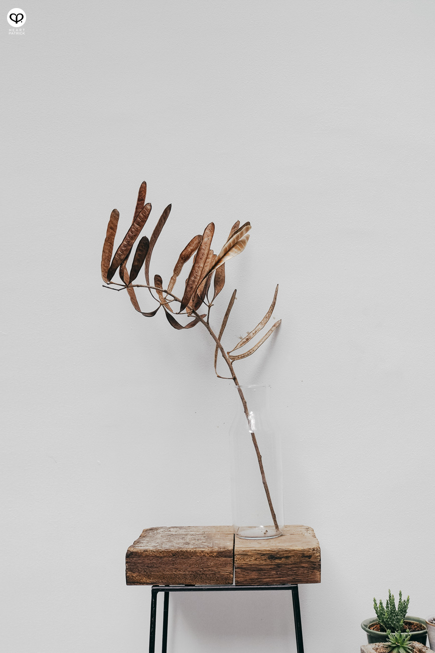 heartpatrick olympus omd mirrorleess em10