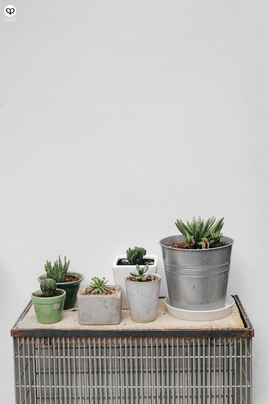 heartpatrick olympus omd mirrorleess em10