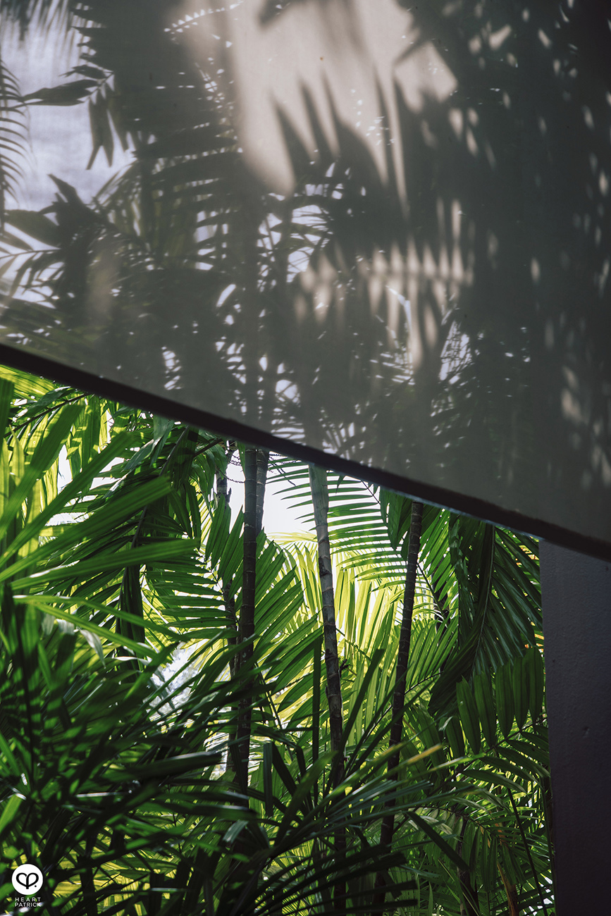 heartpatrick parkroyal hotel photography batu feringghi penang