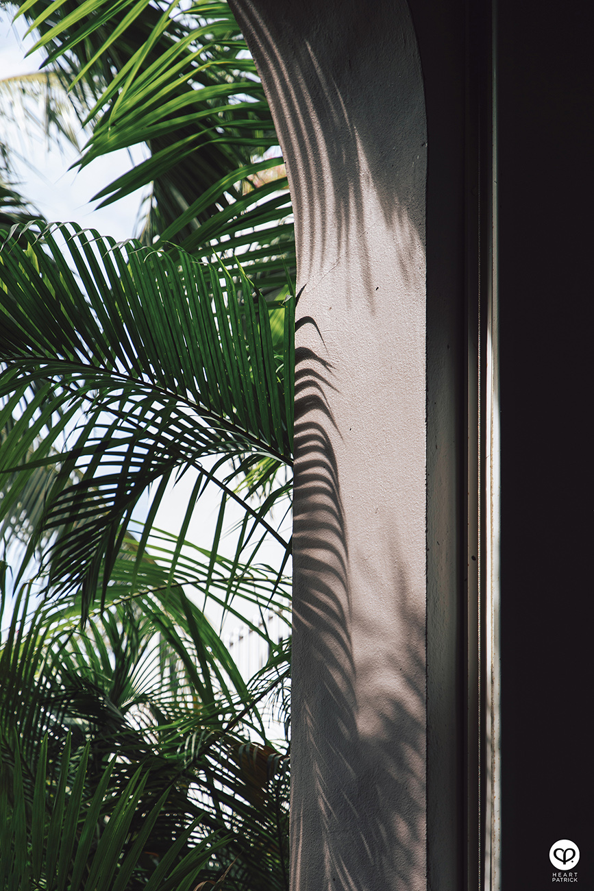 heartpatrick parkroyal hotel photography batu feringghi penang