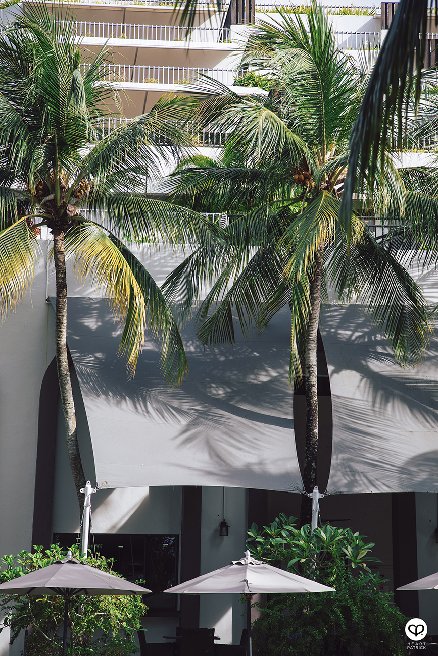 heartpatrick parkroyal hotel photography batu feringghi penang