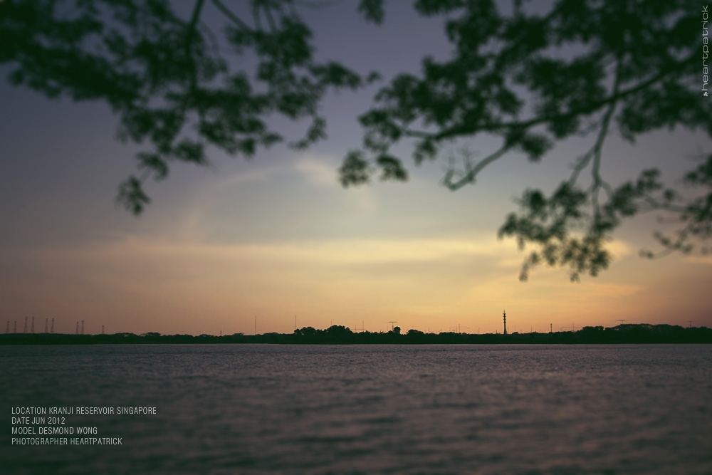 desmond wong singapore male portrait