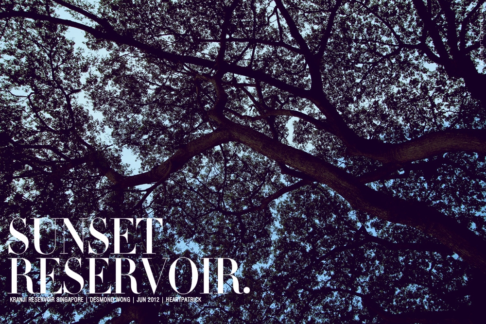 desmond wong singapore male portrait