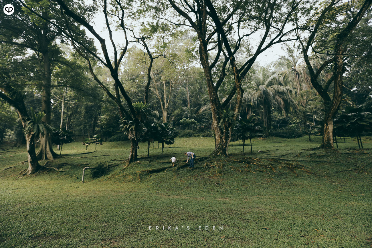 family maternity prenatal pregnancy portrait malaysia singapore photography taman tasik perdana lake gardens