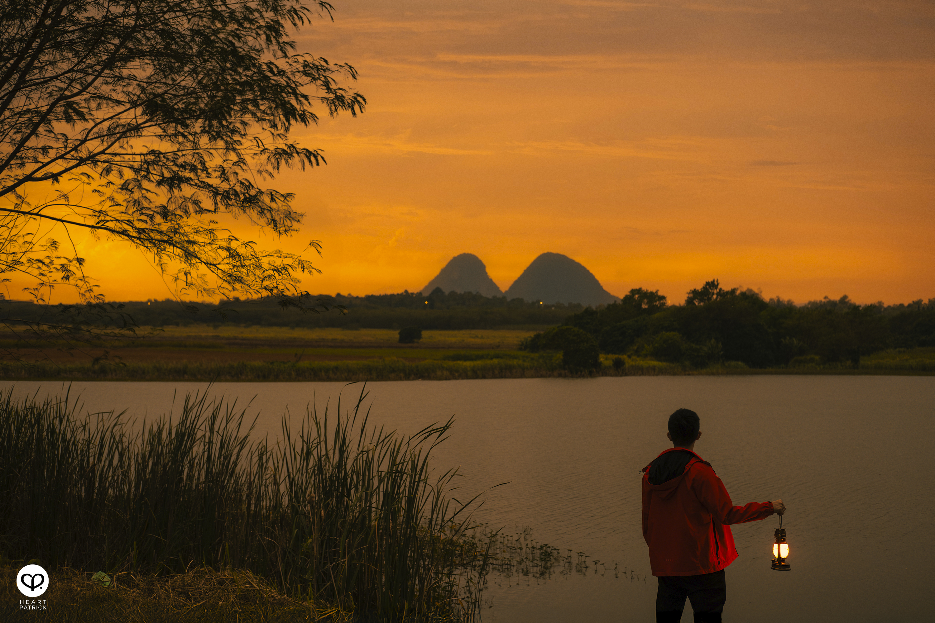 heartpatrick travel street aerial photography chuping valley kenaf plantations perlis malaysia