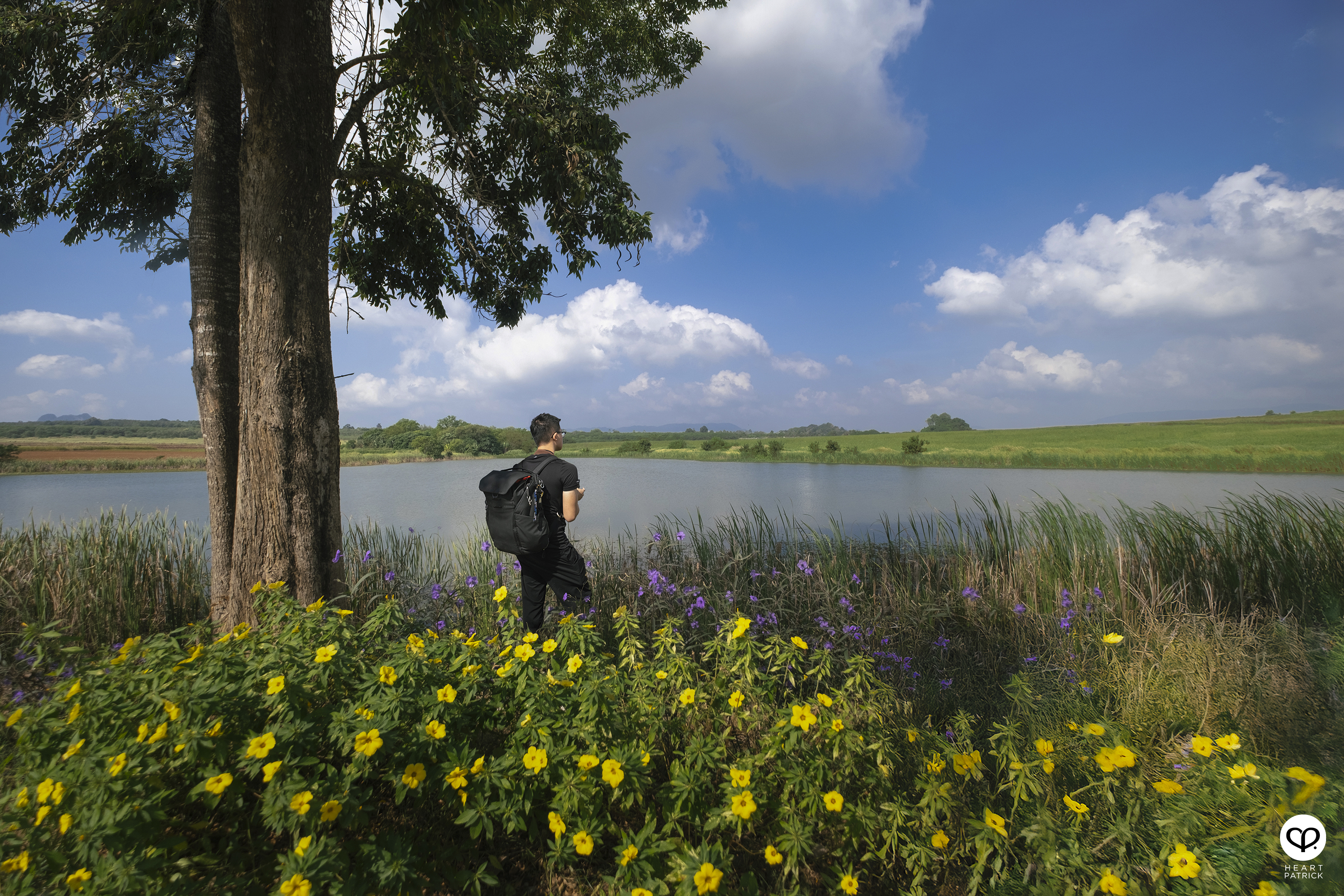 heartpatrick travel street aerial photography chuping valley kenaf plantations perlis malaysia