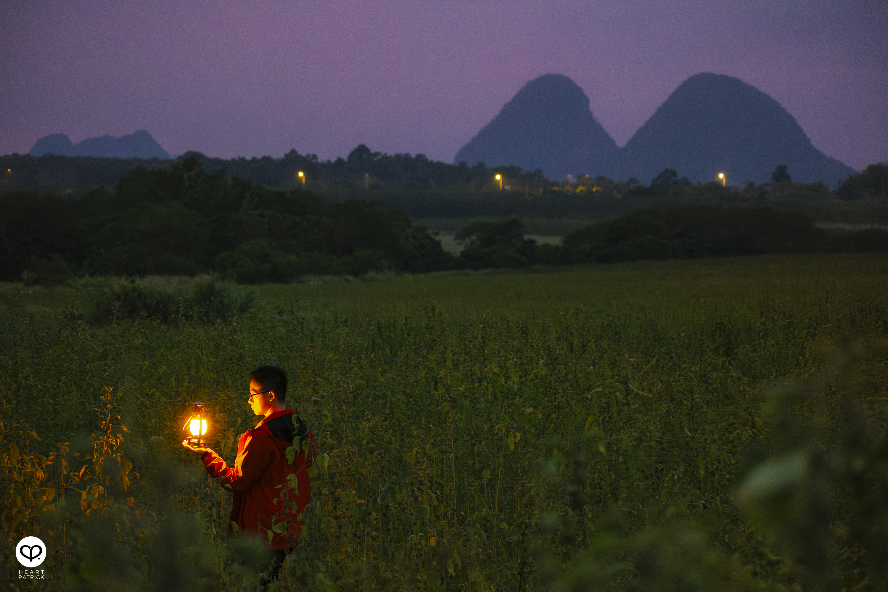 heartpatrick travel street aerial photography chuping valley kenaf plantations perlis malaysia