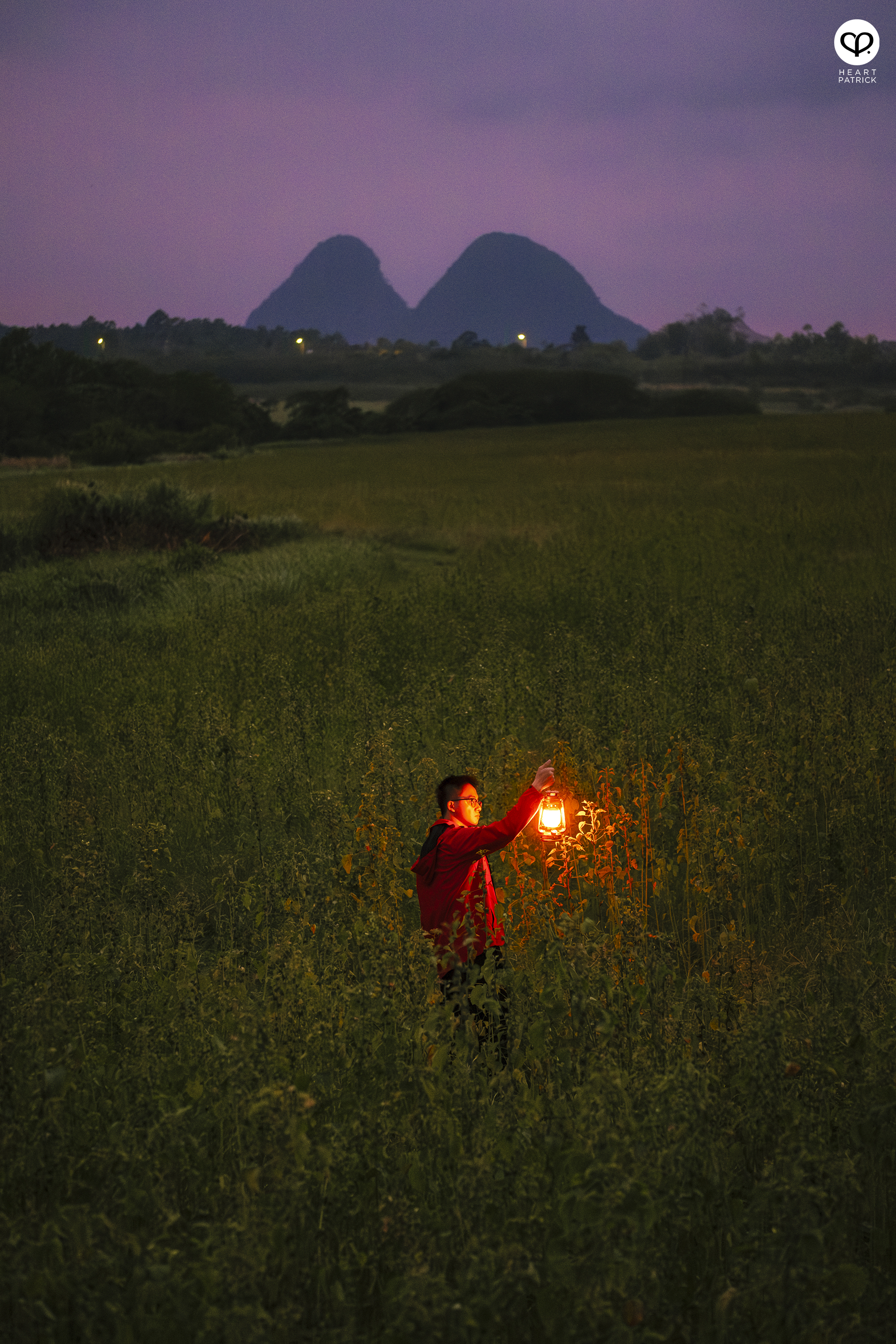 heartpatrick travel street aerial photography chuping valley kenaf plantations perlis malaysia