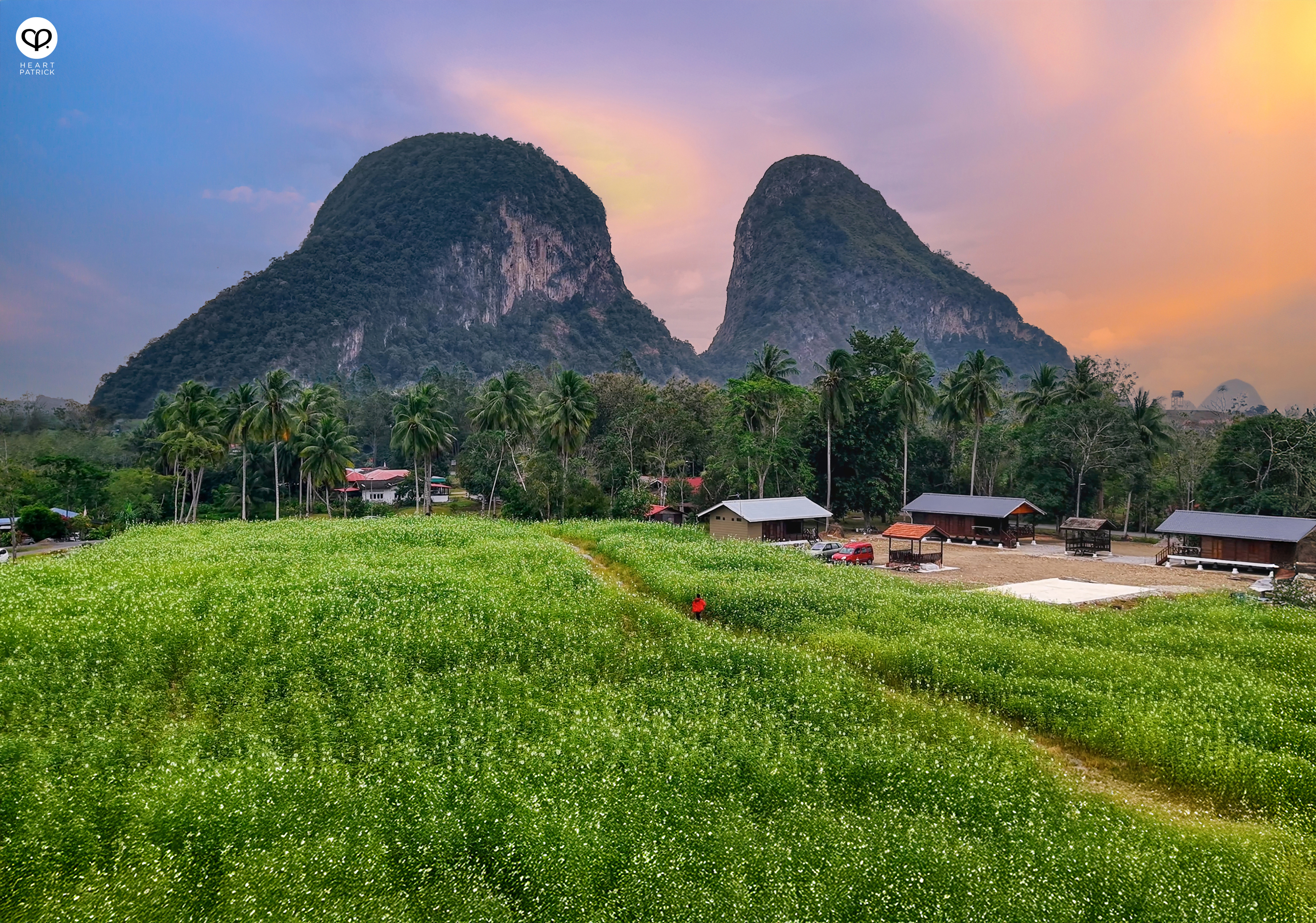 heartpatrick travel street heritage aerial photography perlis malaysia