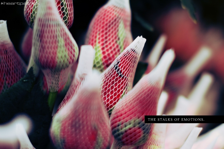 heartpatrick kuala lumpur chinatown petaling street