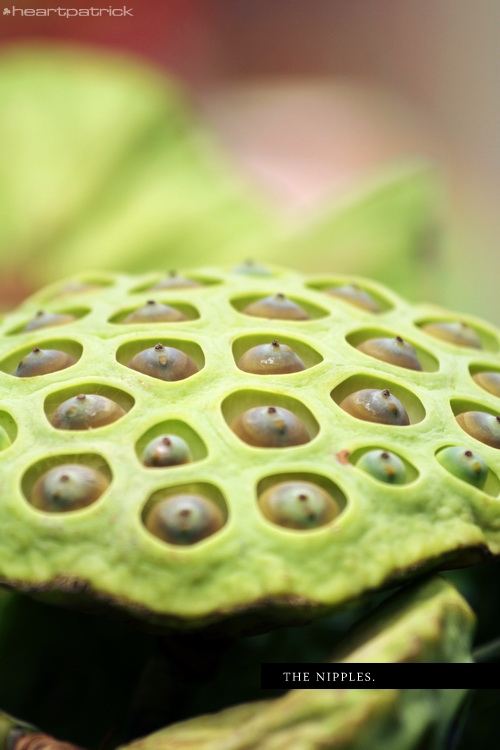heartpatrick kuala lumpur chinatown petaling street