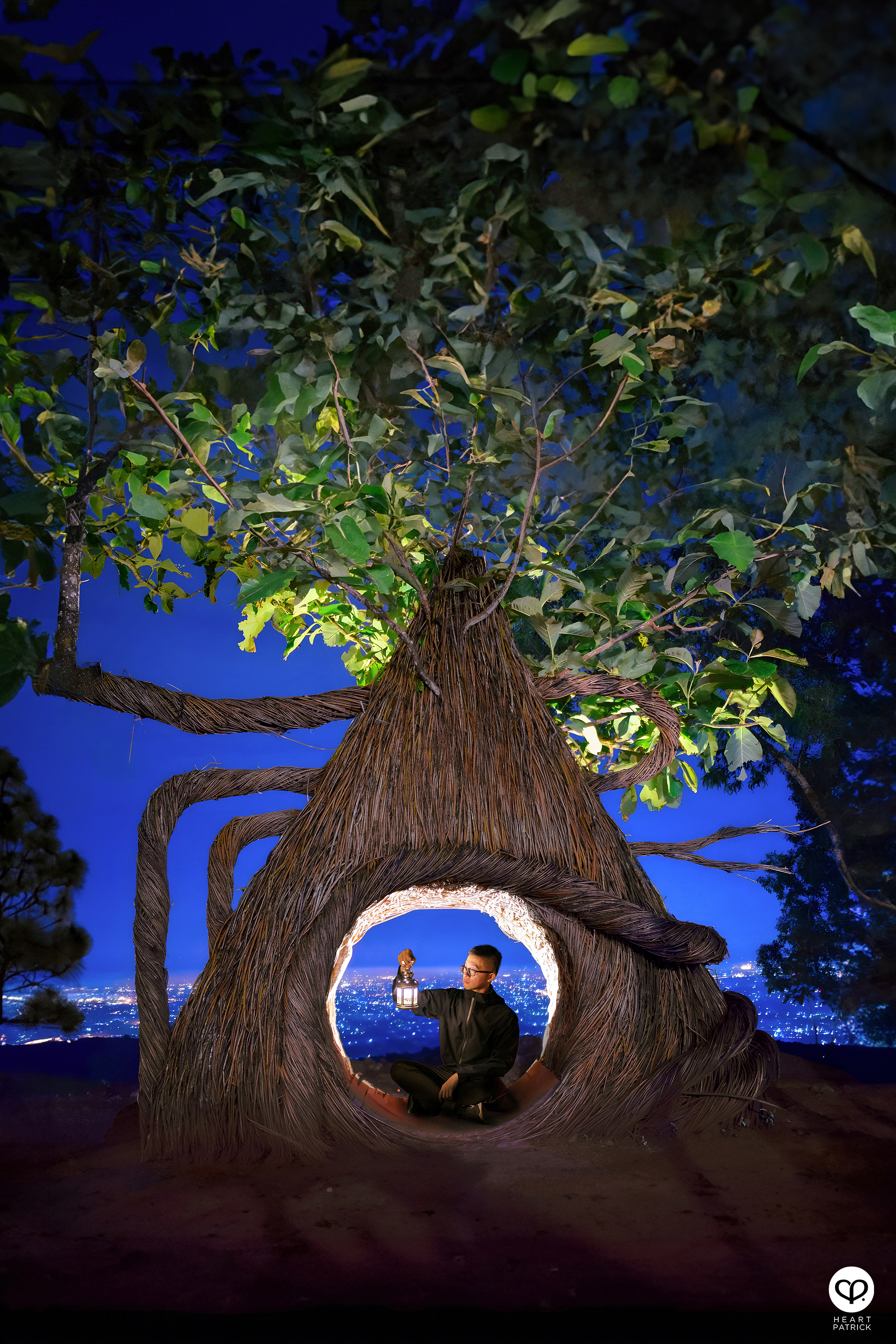 heartpatrick travel yogyakarta indonesia pinus pengger pine forest