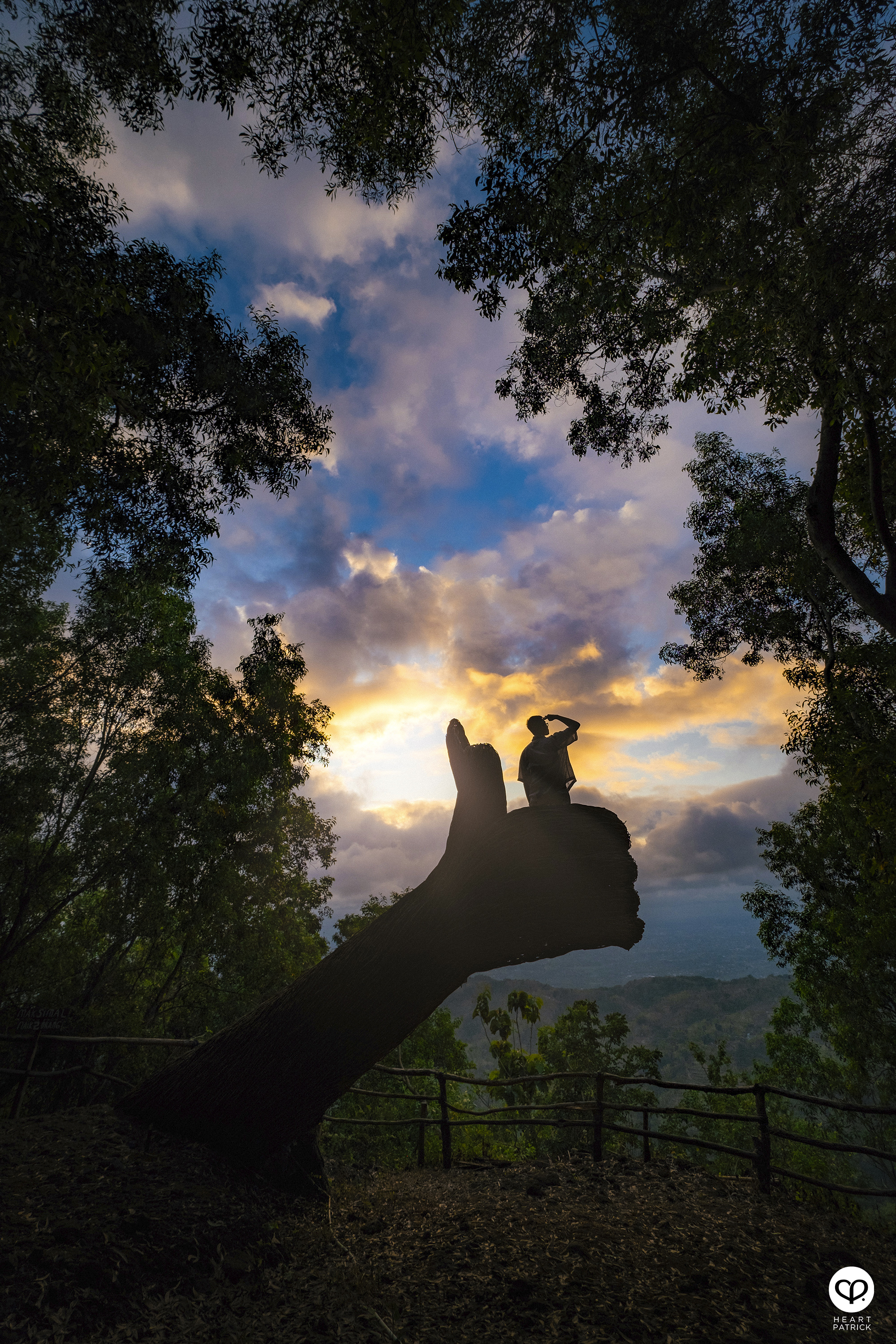 heartpatrick travel yogyakarta indonesia pinus pengger pine forest