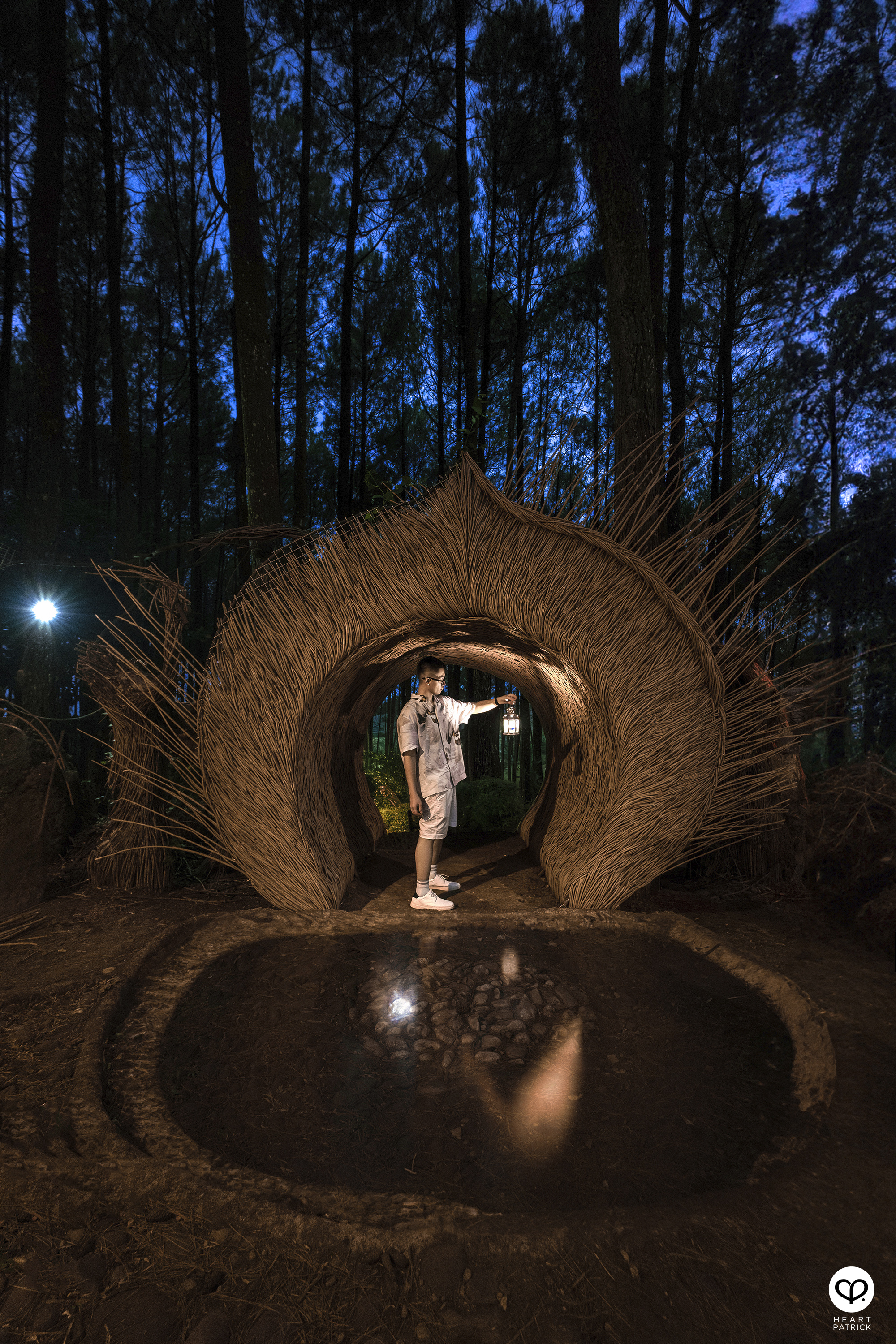 heartpatrick travel yogyakarta indonesia pinus pengger pine forest