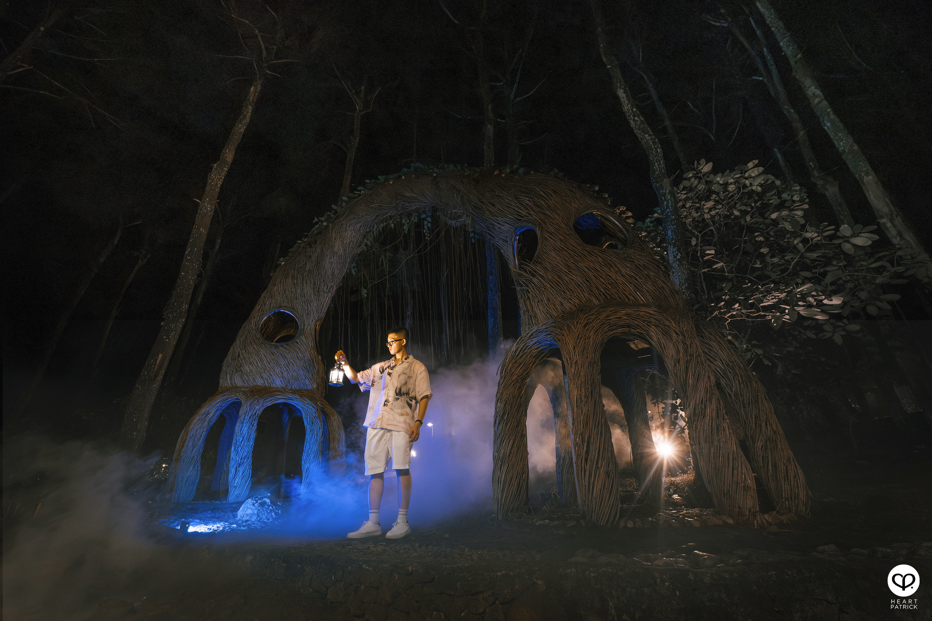 heartpatrick travel yogyakarta indonesia pinus pengger pine forest