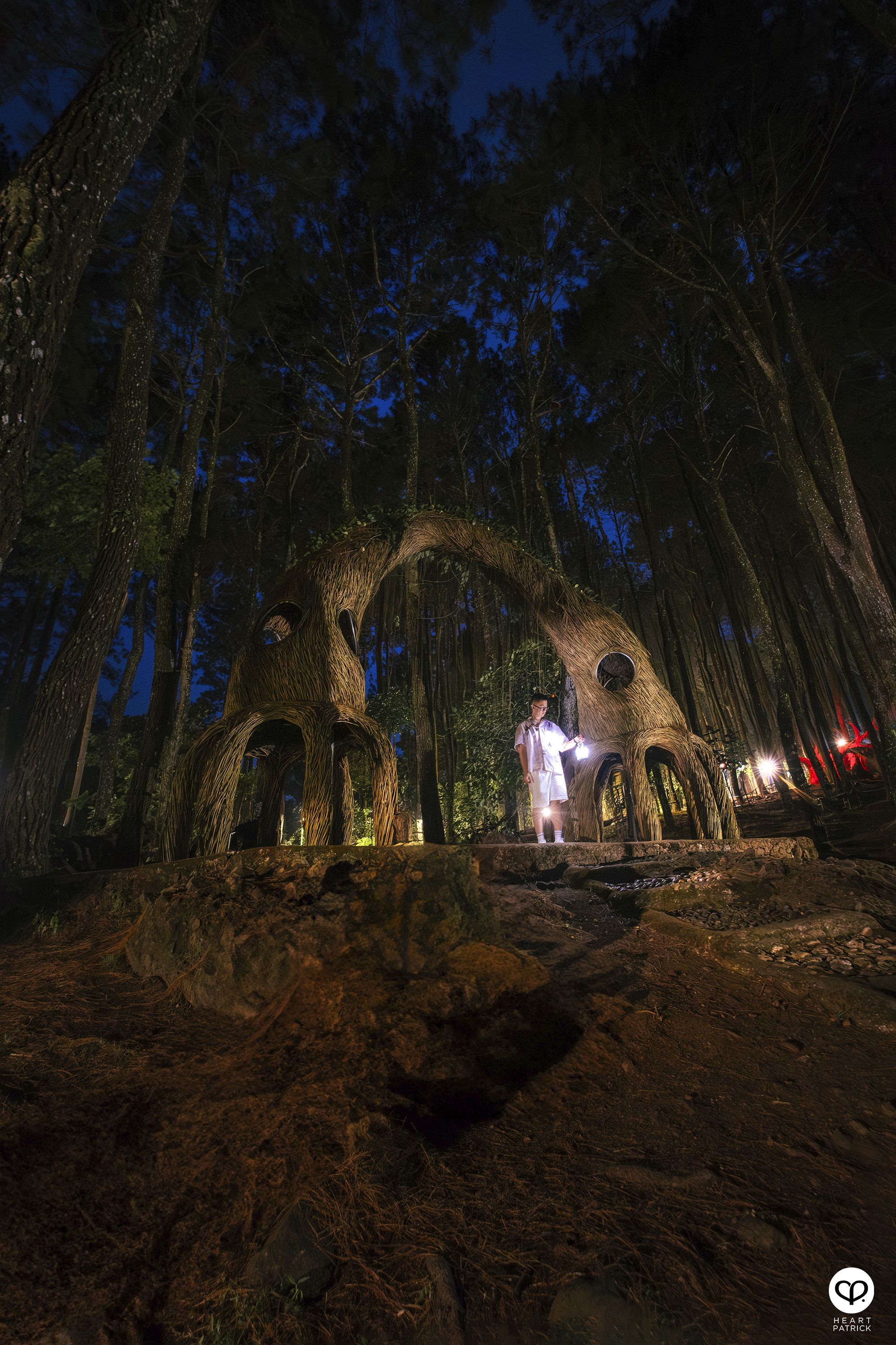 heartpatrick travel yogyakarta indonesia pinus pengger pine forest