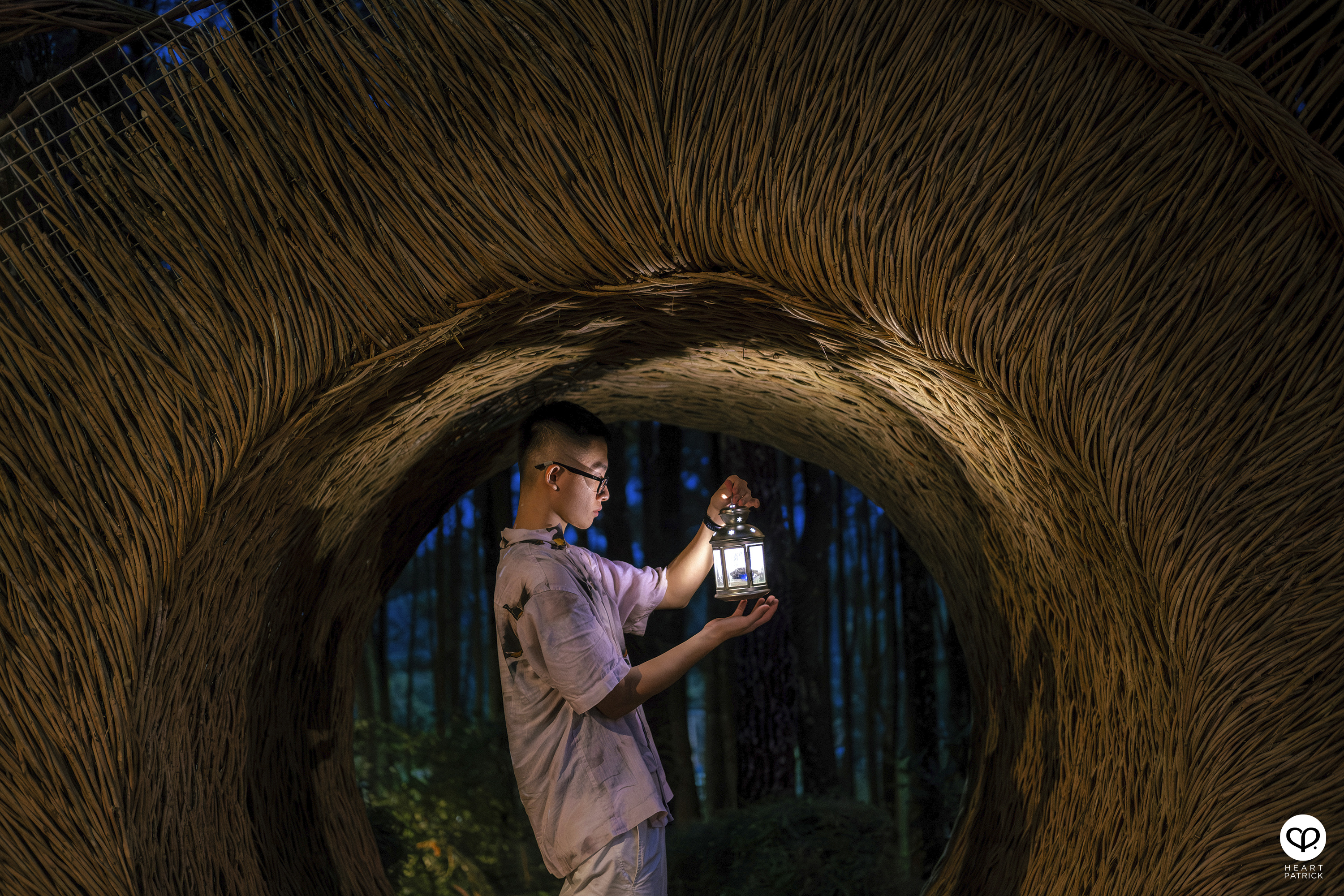 heartpatrick travel yogyakarta indonesia pinus pengger pine forest