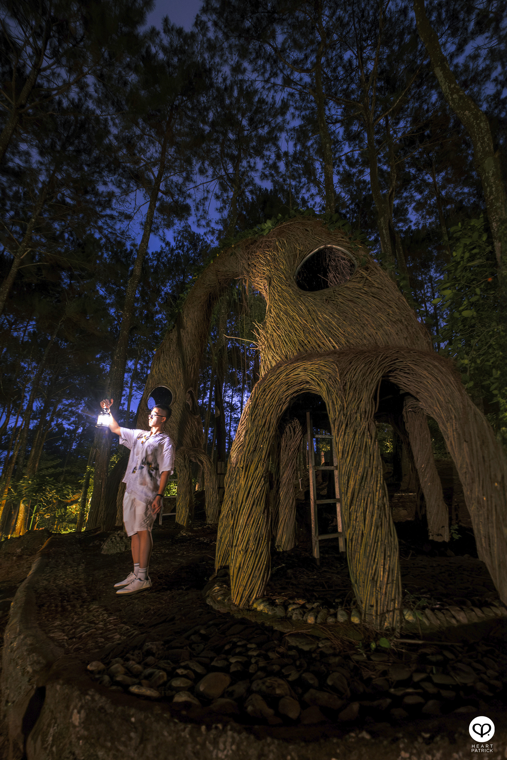 heartpatrick travel yogyakarta indonesia pinus pengger pine forest