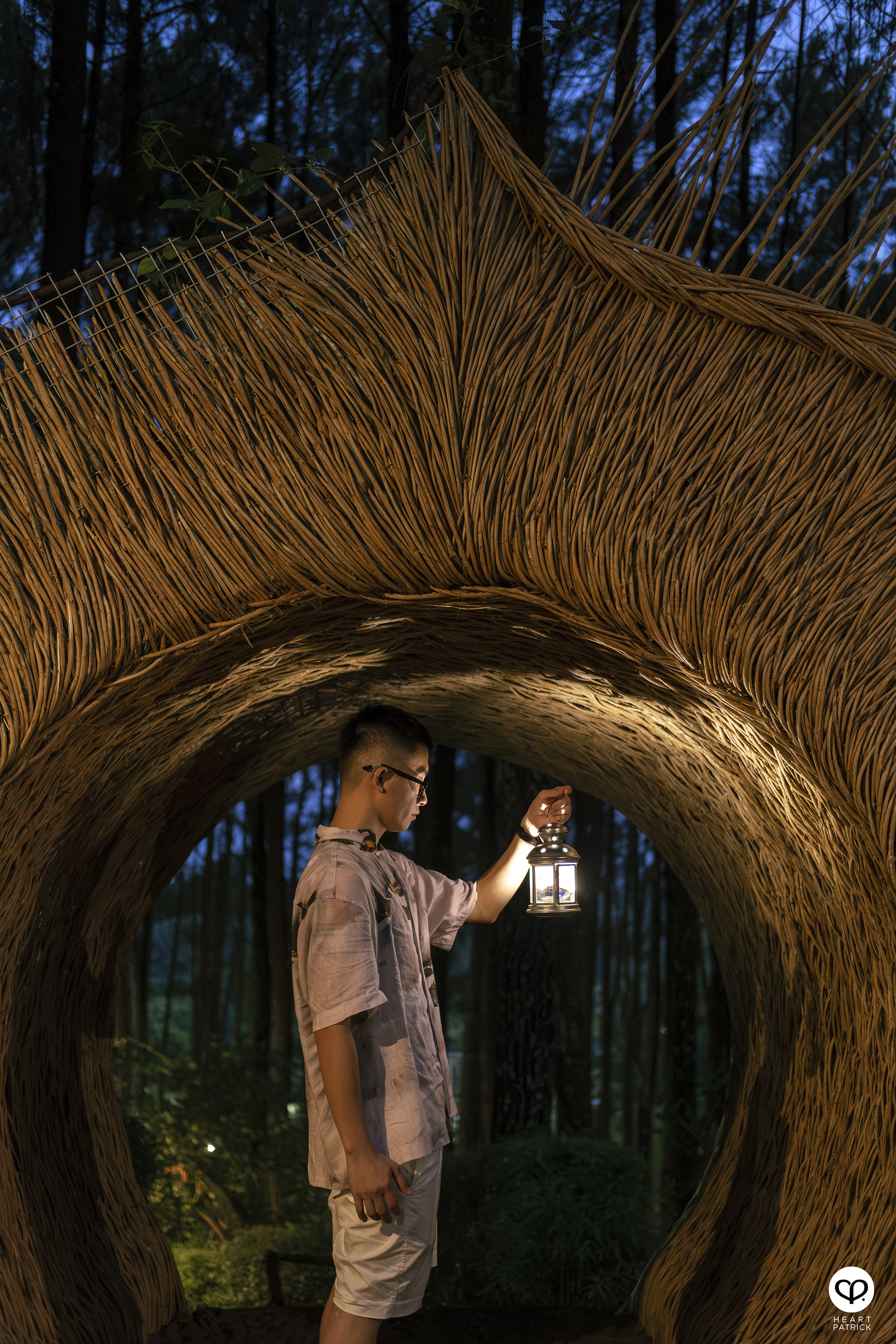 heartpatrick travel yogyakarta indonesia pinus pengger pine forest