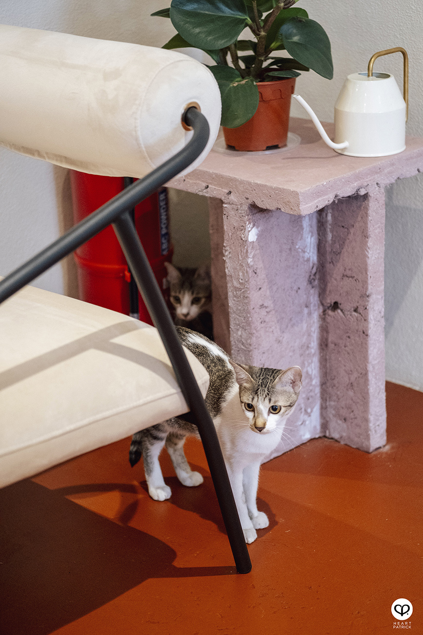 heartpatrick spaces architecture interior caf� photography poppy kat cheras