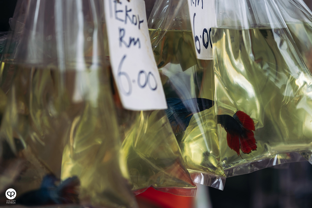 heartpatrick urban exploring heritage pudu market kuala lumpur