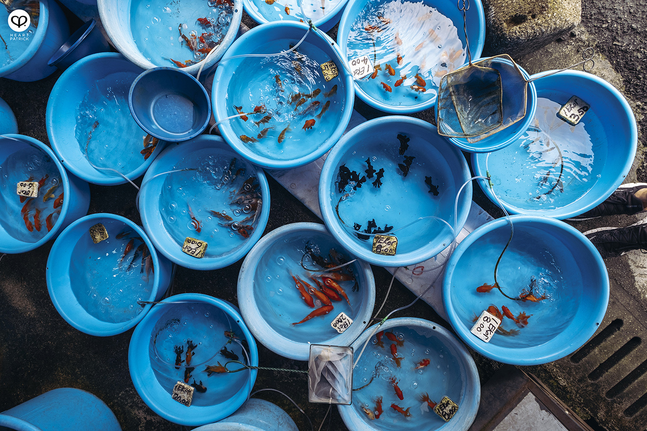 heartpatrick urban exploring heritage pudu market kuala lumpur