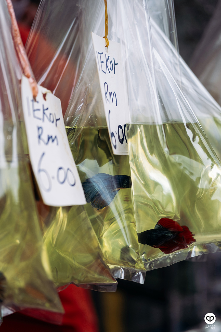 heartpatrick urban exploring heritage pudu market kuala lumpur