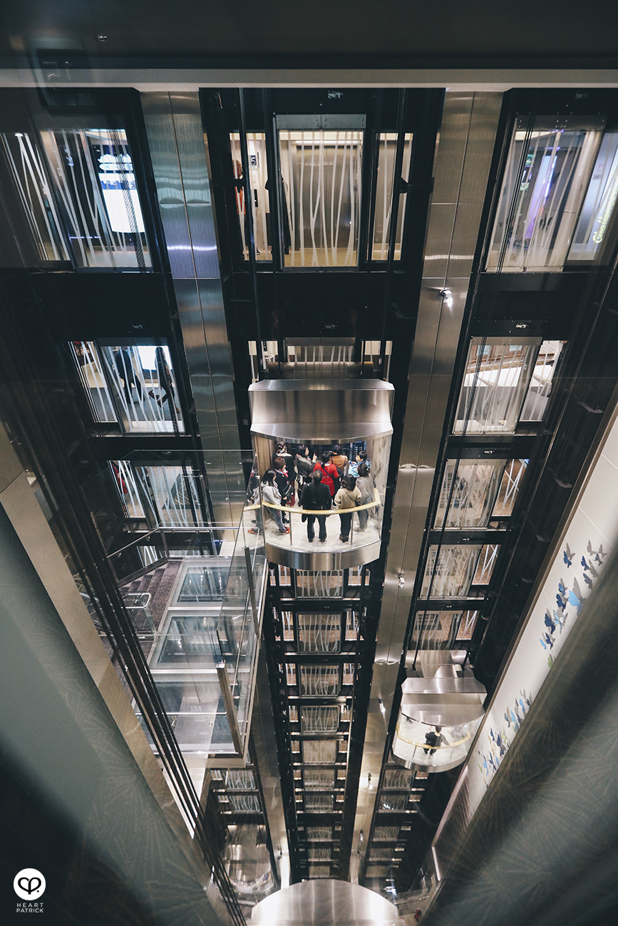 heartpatrick royal carribean cruise quantum of the sea nagasaki event