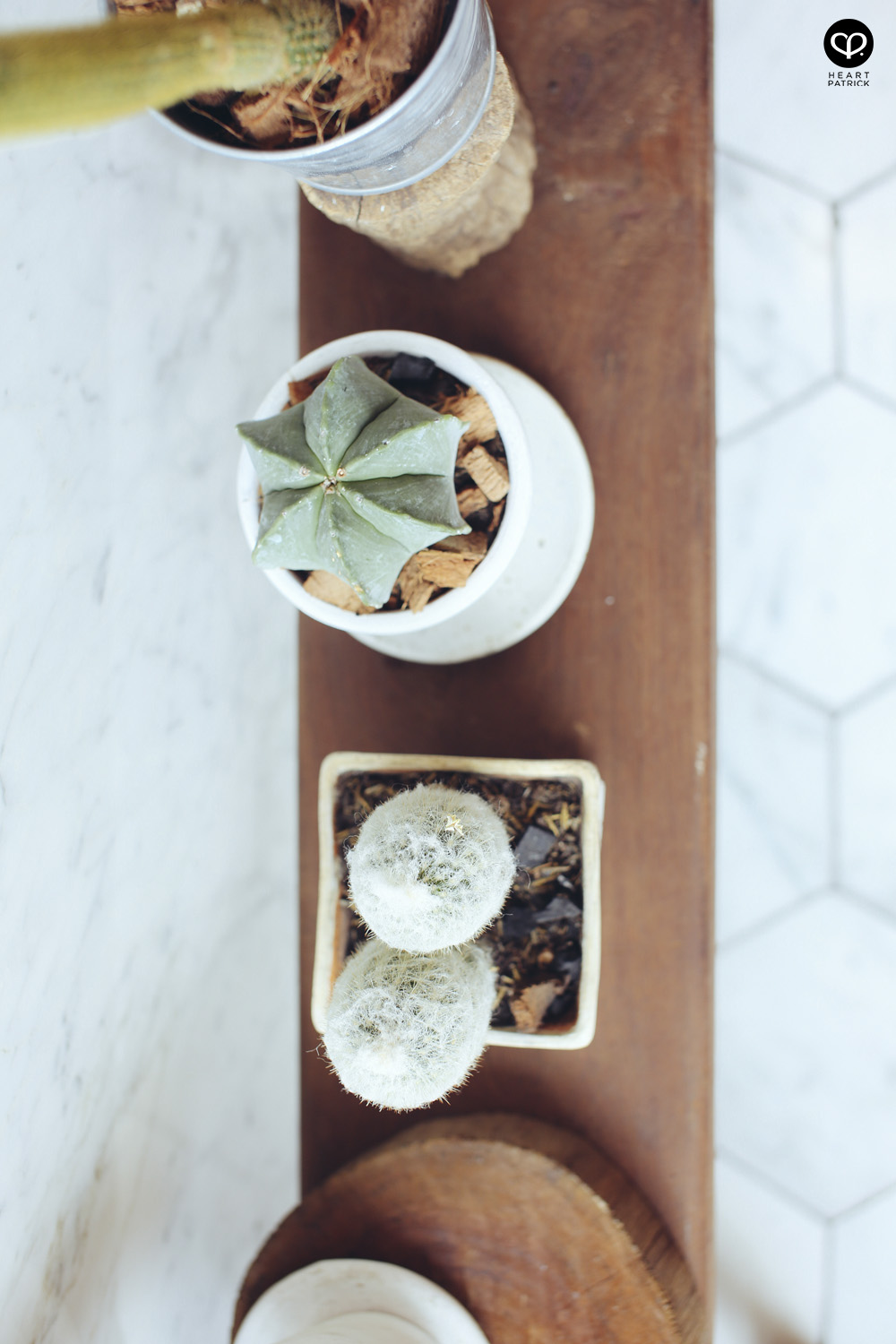 bangkok caf� rocket coffee bar s49