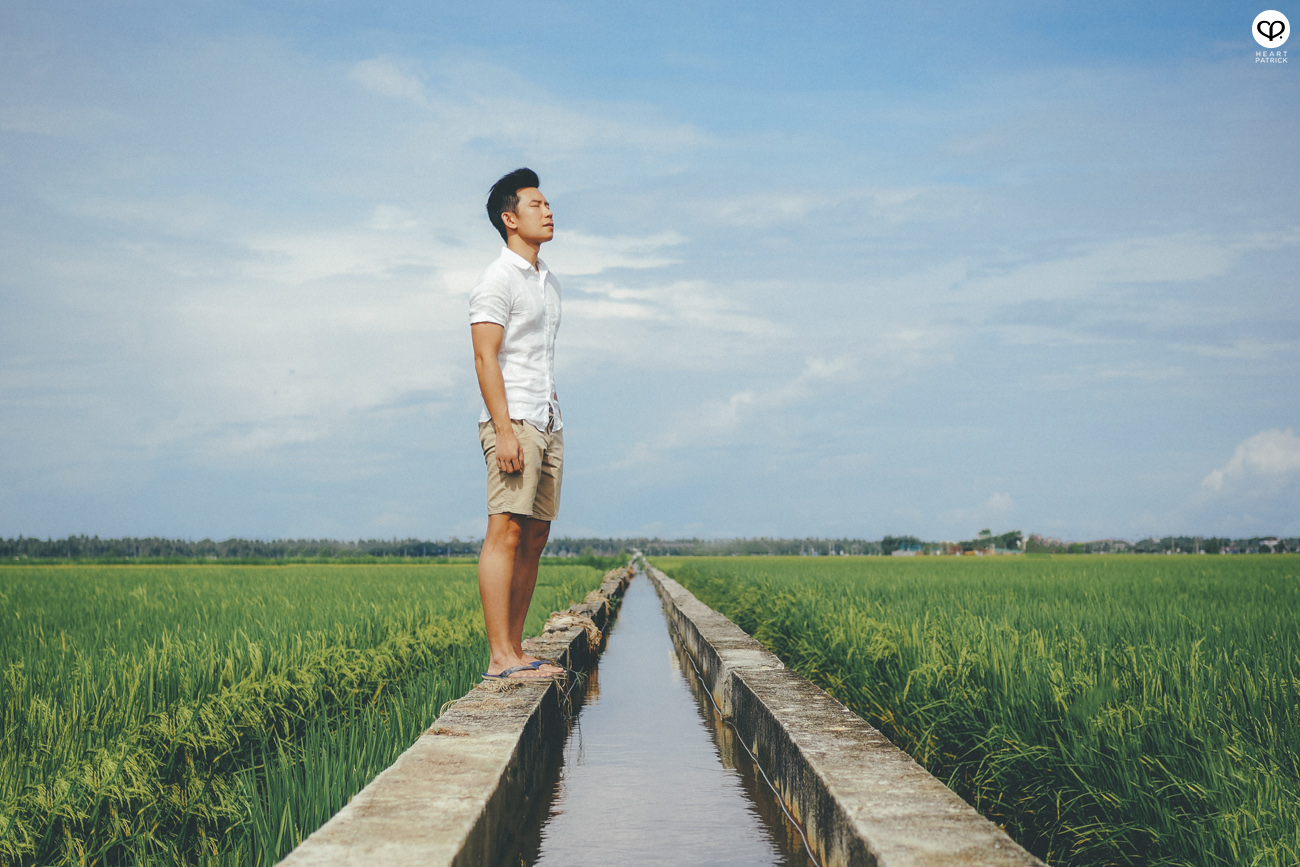 heartpatrick sekinchan urban heritage selangor paddy field golden harvest