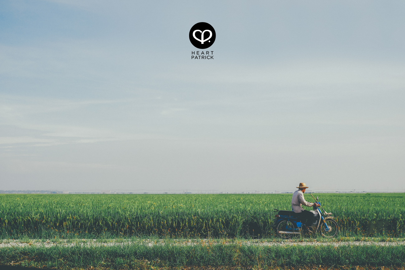 heartpatrick sekinchan urban heritage selangor paddy field golden harvest