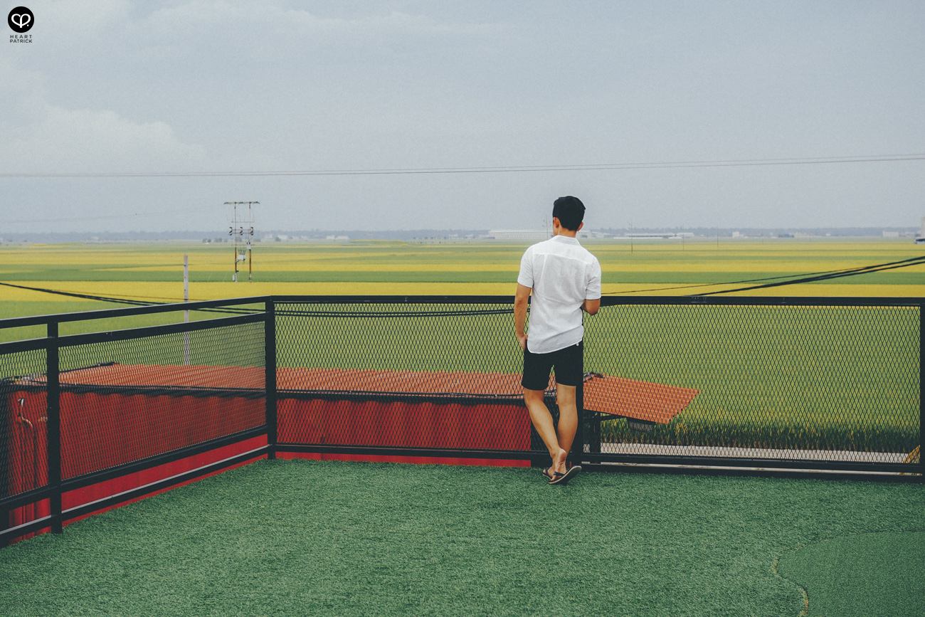 heartpatrick sekinchan urban heritage selangor paddy field golden harvest