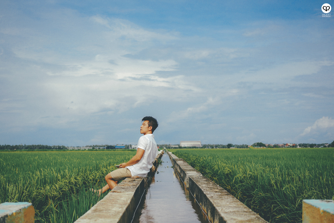 heartpatrick sekinchan urban heritage selangor paddy field golden harvest
