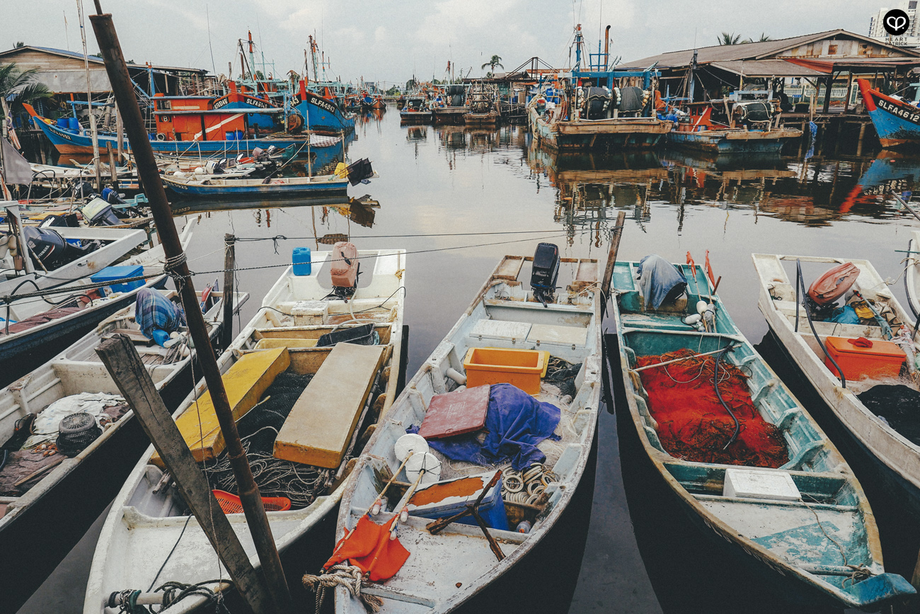 heartpatrick sekinchan urban heritage selangor paddy field golden harvest