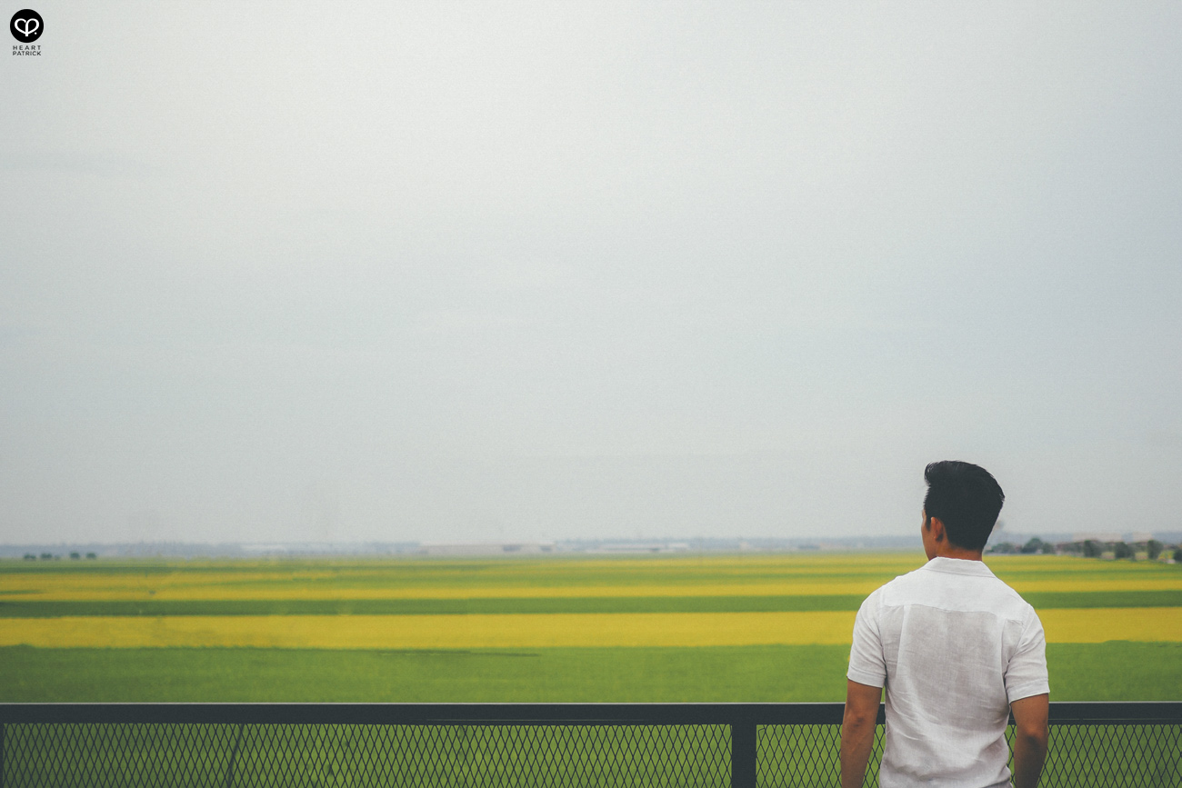 heartpatrick sekinchan urban heritage selangor paddy field golden harvest
