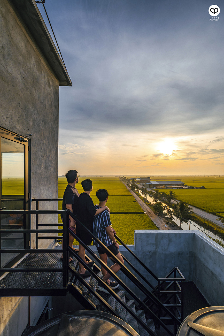heartpatrick malaysia heritage sekinchan golden paddy fields selangor