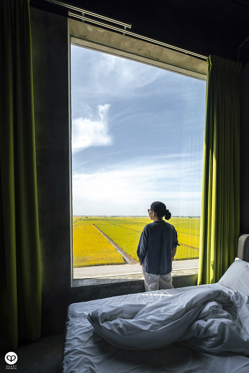 heartpatrick malaysia heritage sekinchan golden paddy fields selangor