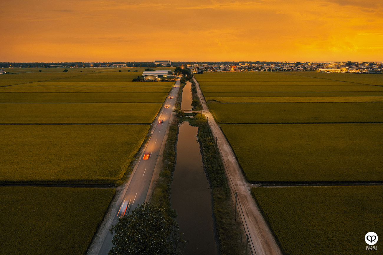 heartpatrick malaysia heritage sekinchan golden paddy fields selangor