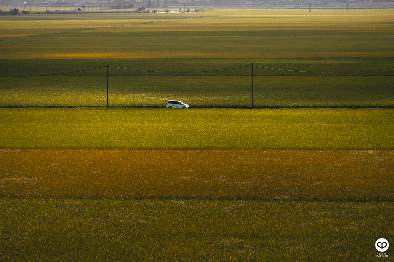 heartpatrick malaysia heritage sekinchan golden paddy fields selangor