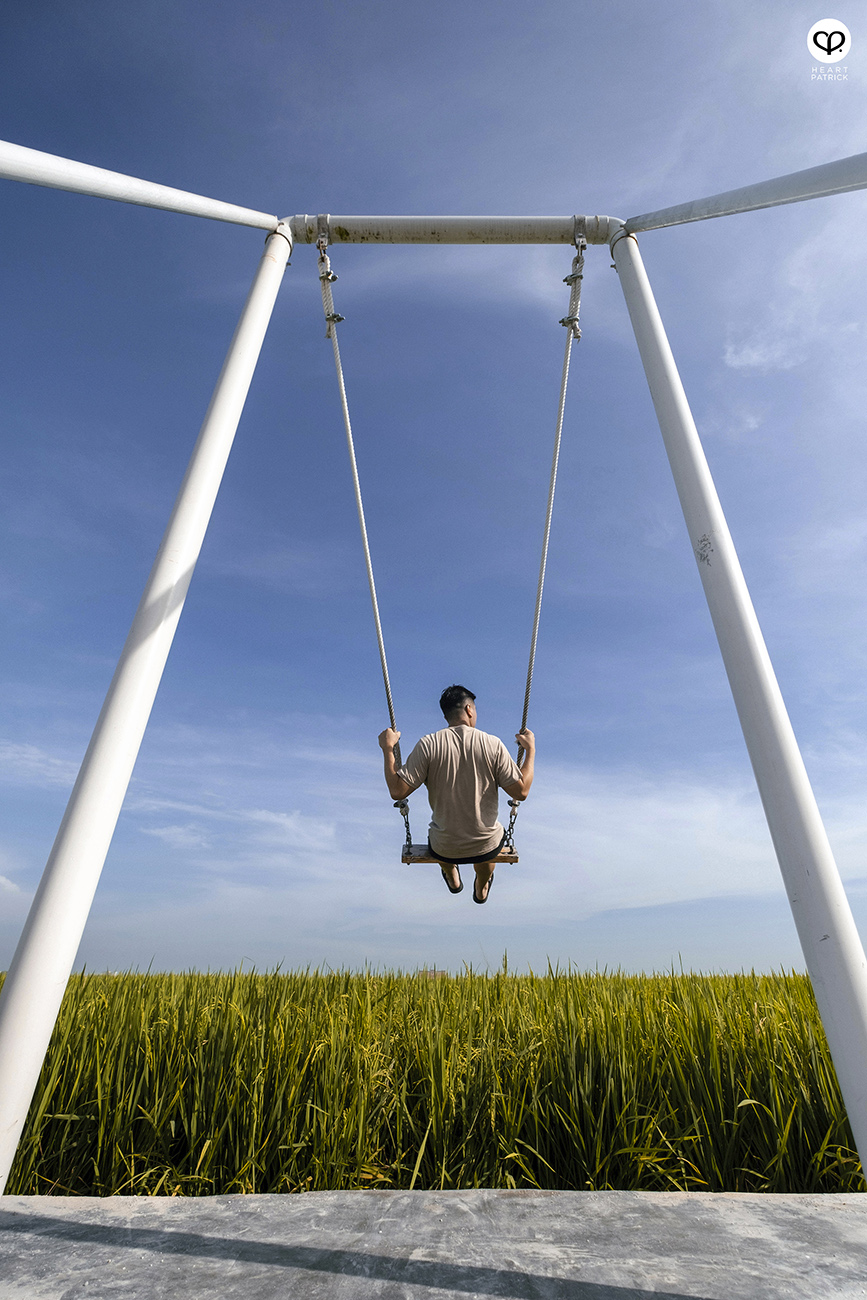 heartpatrick malaysia heritage sekinchan golden paddy fields selangor